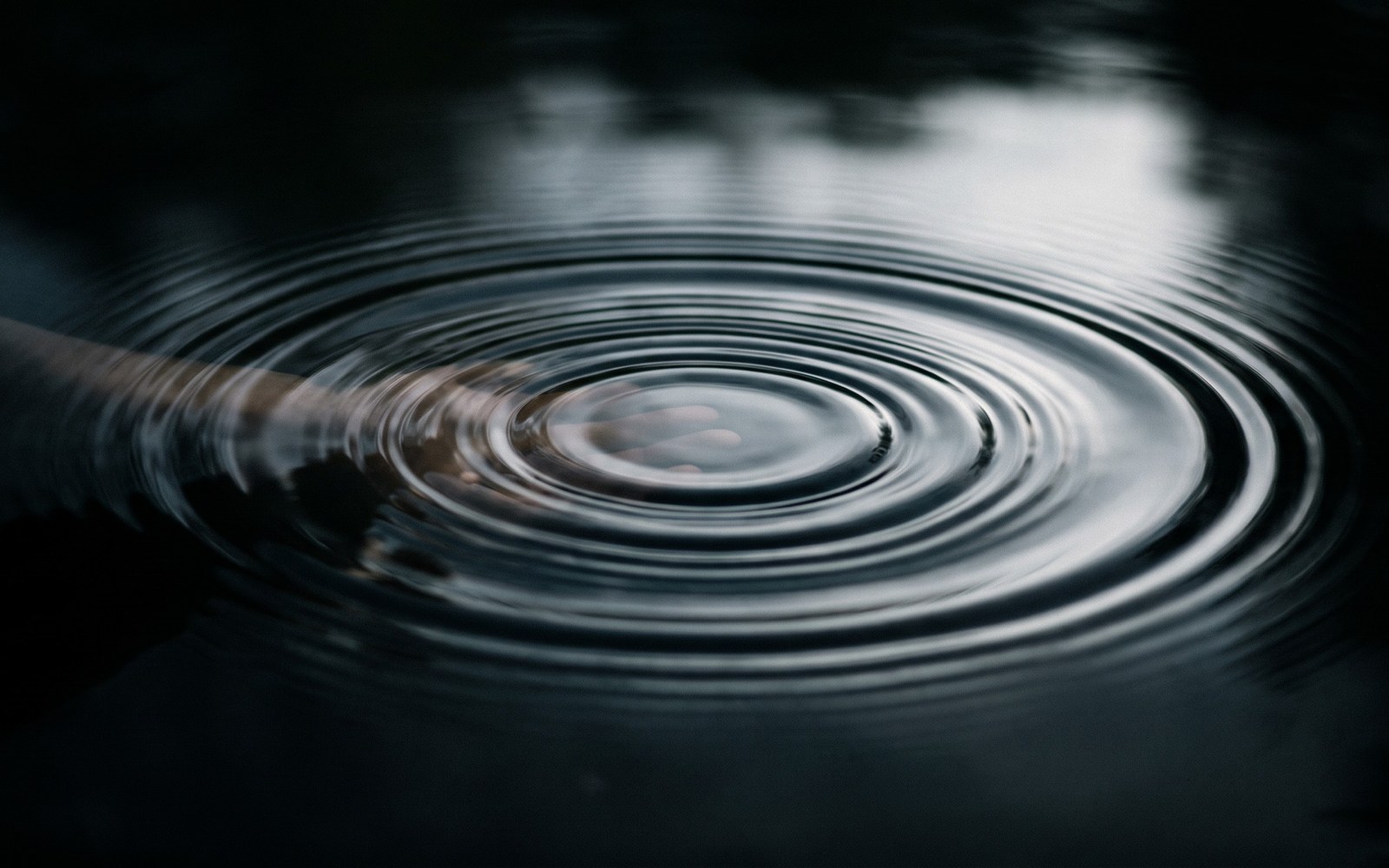 Concentric ripples spreading across a still dark pond from a single dropped stone, a faint delayed reflection just behind the ripple's edge