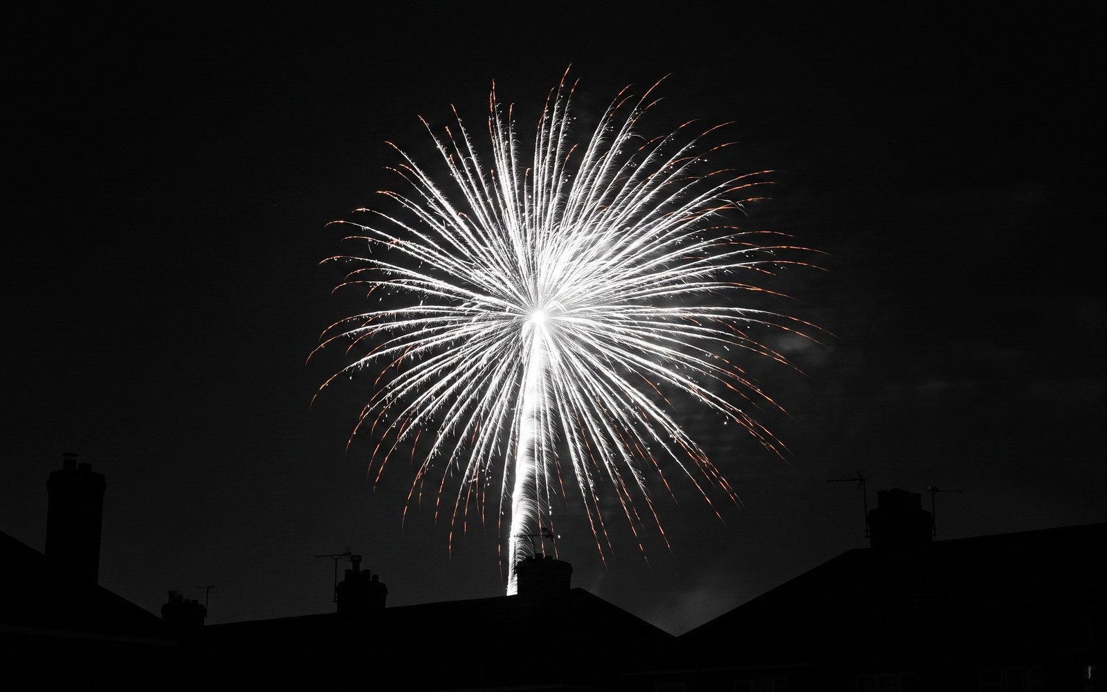 A single firework frozen mid-burst against a night sky, already fading to embers above ordinary rooftops