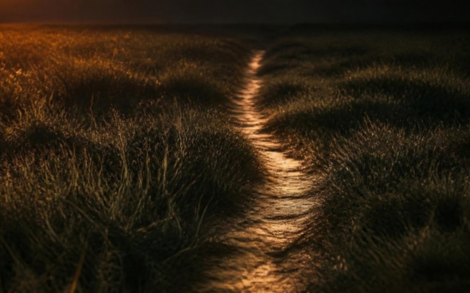 A single worn footpath glowing amber in the light, cutting through dark grass at dusk toward the horizon