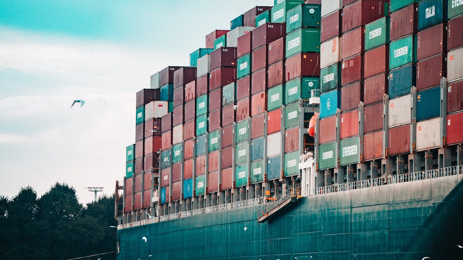 A massive container ship's hull moving through harbour water, seagulls in front of the bow