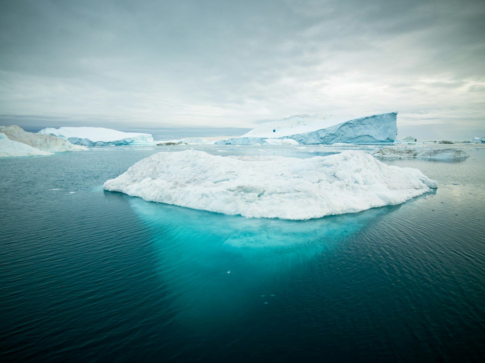 Icebergs and floating ice on dark Greenland sea water under an overcast sky