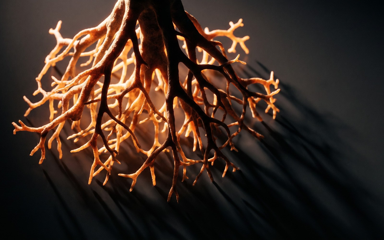 An intricate, glowing root-like branching structure against a dark background, warm amber tones