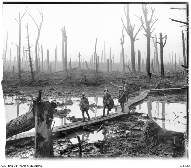 Australian soldiers picking their way along a duckboard track through the shattered, flooded remains of Chateau Wood, near Ypres, October 1917.